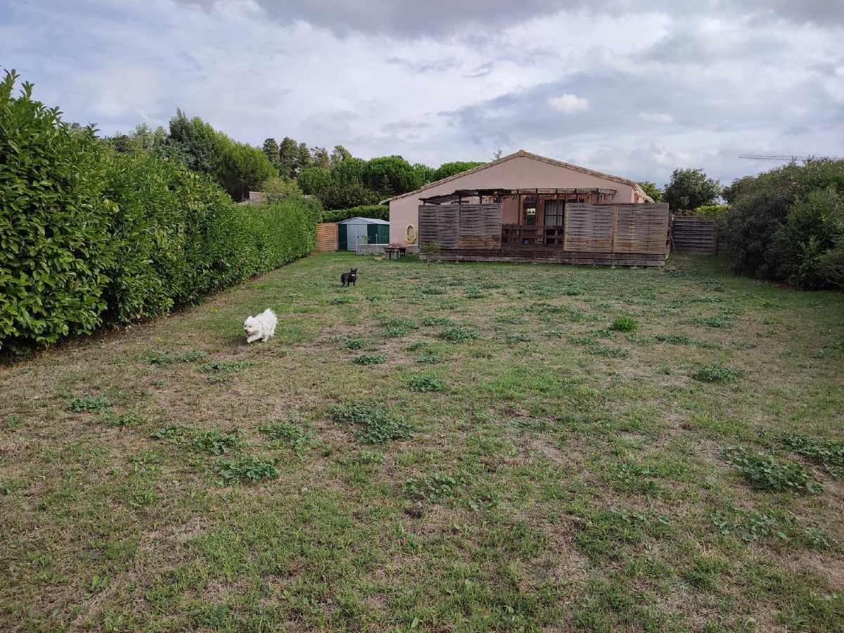 Le Cosy Occitan Villa Chaleureuse Independante Baignoire Terrasse Jardin การ์กาซอน ภายนอก รูปภาพ